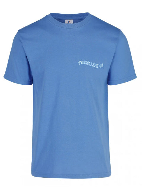 Remera "Handle color celeste